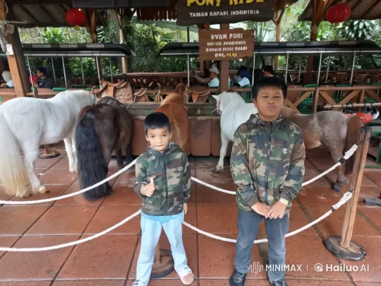 Boys Perform Kung Fu in Front of Calm Ponies at Taman Safari – AI Generated Video | Hailuo AI