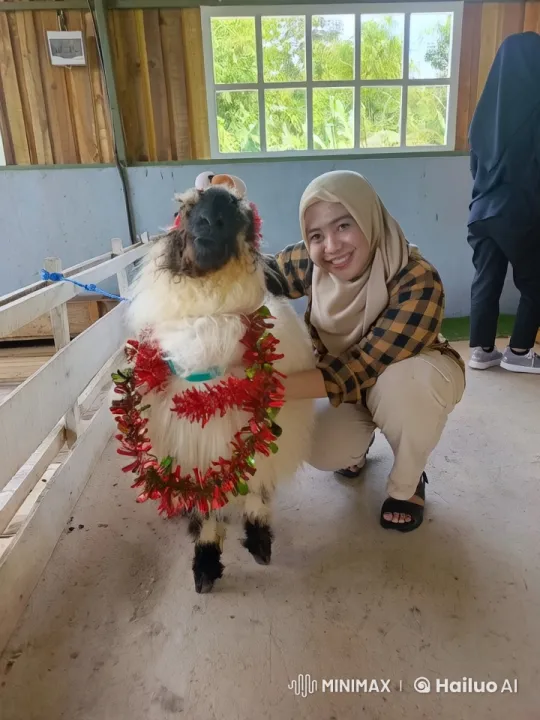 Sheep Showcases Playful 'Kungfu' Moves in Barn – AI Generated Video | Hailuo AI