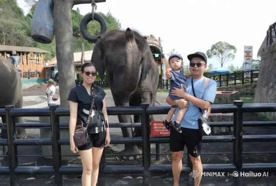 Zoo Kung Fu Duel with Elephant Backdrop – AI Generated Video | Hailuo AI