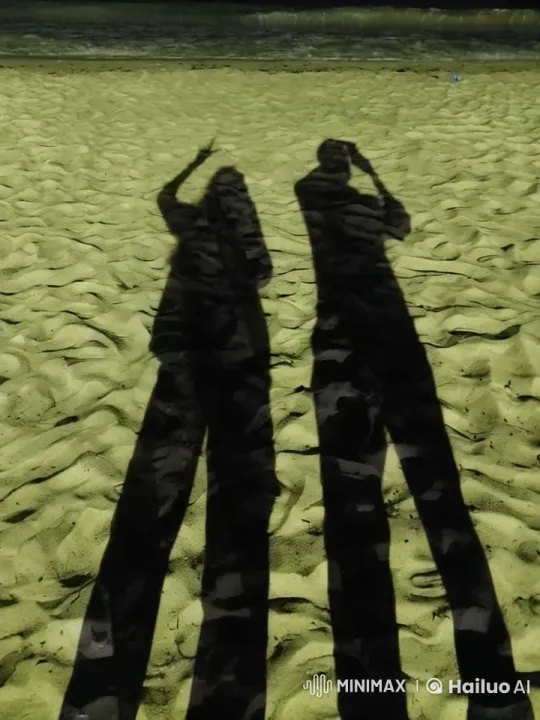 Shadow Kungfu Fight on Sandy Shoreline – AI Generated Video | Hailuo AI