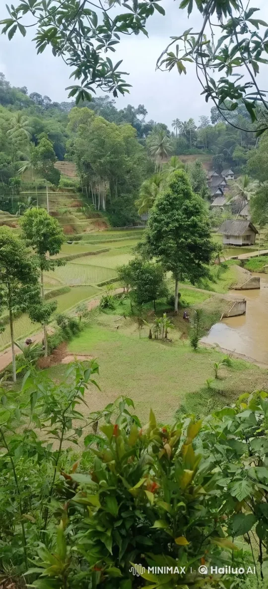 Serene Terraced Fields Amidst Subtropical Beauty – AI Generated Video | Hailuo AI