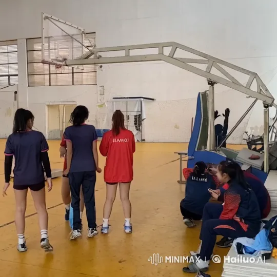 Hanoi Girls Practice Kung Fu in Indoor Gym – AI Generated Video | Hailuo AI