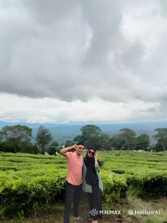 Kung Fu Masters Perform in Scenic Tea Plantation – AI Generated Video | Hailuo AI