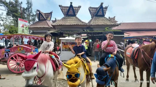 Children Perform Kungfu on Decorated Ponies in Market – AI Generated Video | Hailuo AI