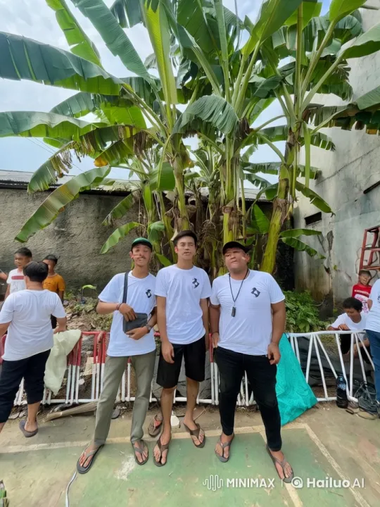 Young Men Display Wing Chun Skills in Banana Grove – AI Generated Video | Hailuo AI