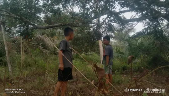 Boys Practice Kungfu in Tranquil Forest – AI Generated Video | Hailuo AI