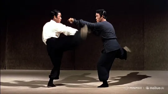 Stylized Martial Arts Fight in Static Shot – AI Generated Video | Hailuo AI