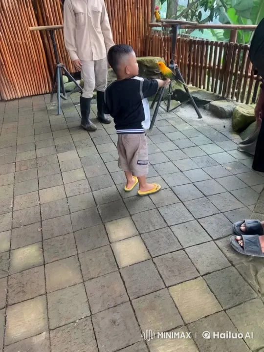 Boy Practices Kungfu with Parakeet in Outdoor Setting – AI Generated Video | Hailuo AI