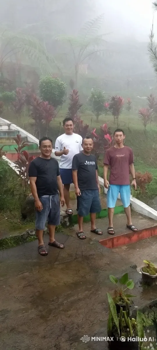 Misty Morning with Men on Tropical Path – AI Generated Video | Hailuo AI