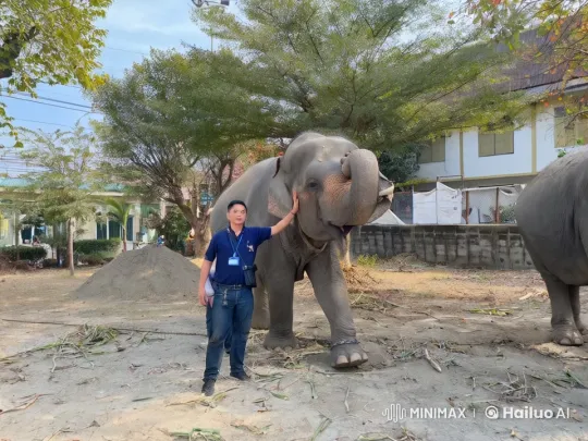 Kung Fu Master Battles Opponent Amidst Serene Elephant Setting – AI Generated Video | Hailuo AI