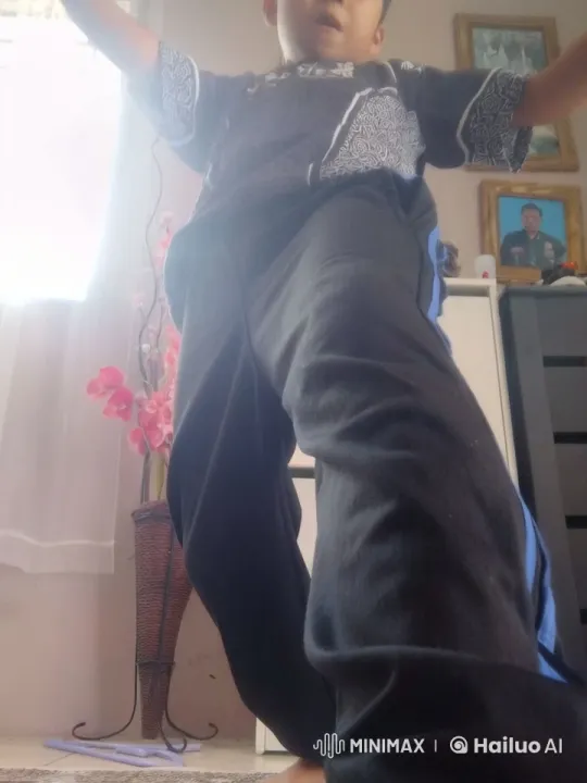 Young Boy Practices Kungfu in Lively Home Setting – AI Generated Video | Hailuo AI