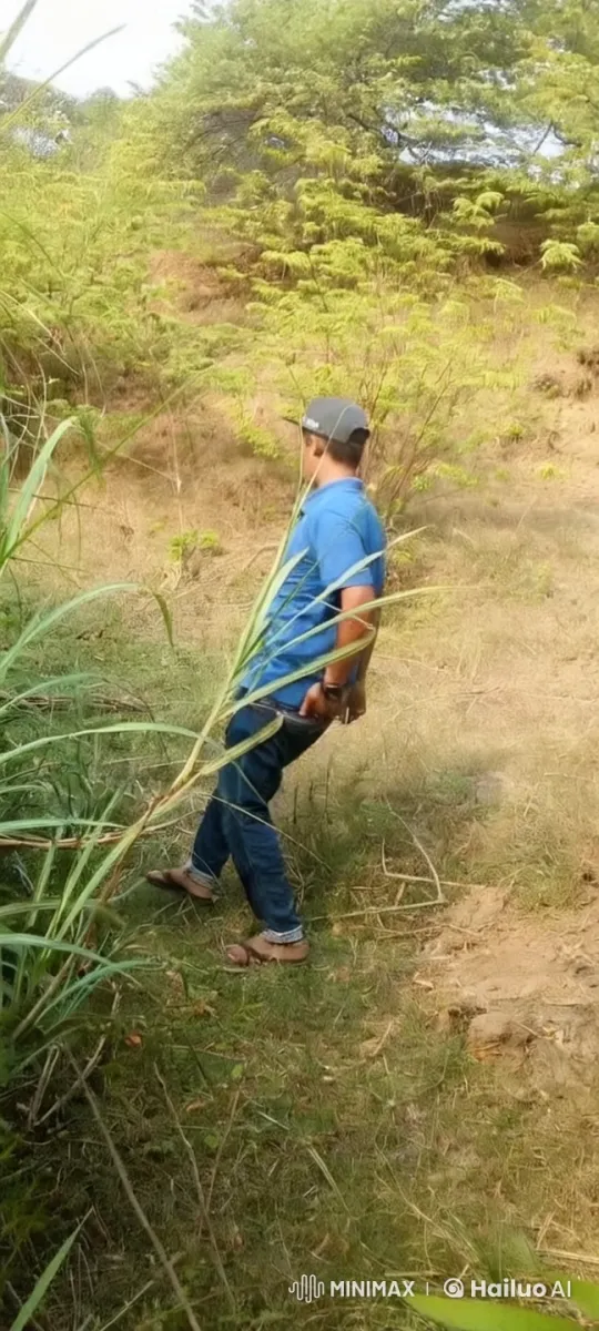 Kungfu Master Demonstrates Athletic Skills in Bushy Terrain – AI Generated Video | Hailuo AI