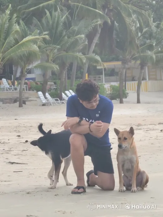 Kung Fu Practitioner Performs with Dogs on Beach – AI Generated Video | Hailuo AI