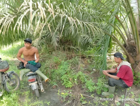 Shaolin Kungfu Masters in Lush Tropical Setting – AI Generated Video | Hailuo AI