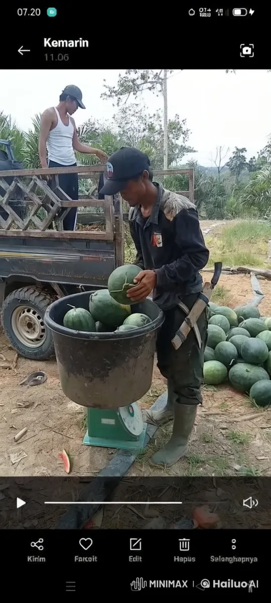 Kungfu Moves Blend with Farm Life in Pastoral Setting – AI Generated Video | Hailuo AI