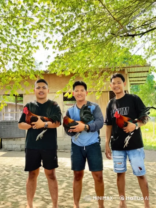 Young Men Spar in Lighthearted Kung Fu with Roosters Watching – AI Generated Video | Hailuo AI