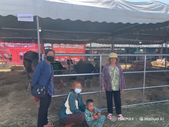 Martial Arts Display at Agricultural Fair – AI Generated Video | Hailuo AI
