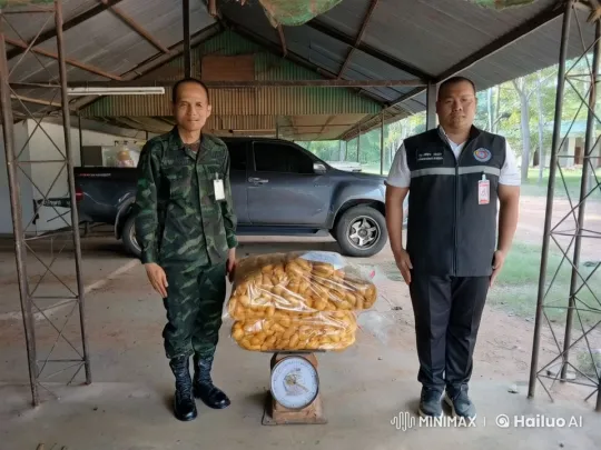 Military Camouflage and Kungfu Uniform Coordinated Martial Arts Display – AI Generated Video | Hailuo AI