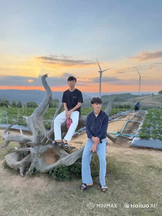 Epic Sunset Kung Fu Duel in a Field – AI Generated Video | Hailuo AI