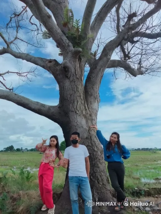 Friends Practicing Kungfu Under a Tree – AI Generated Video | Hailuo AI