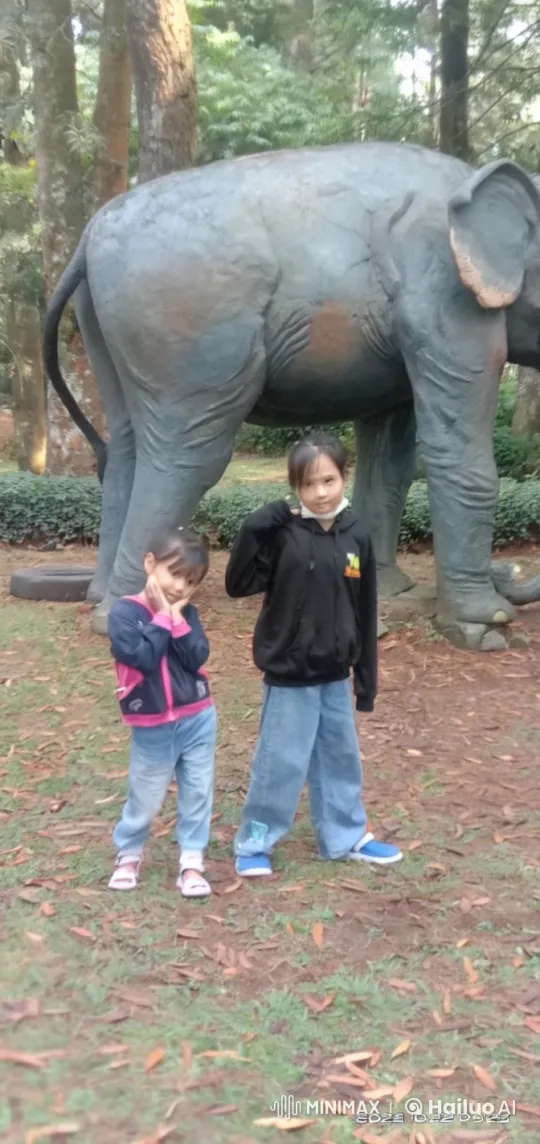 Children Practicing Kungfu in a Wooded Area – AI Generated Video | Hailuo AI