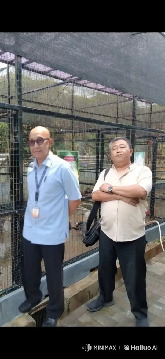 Martial Arts Reconciliation in Outdoor Enclosure – AI Generated Video | Hailuo AI