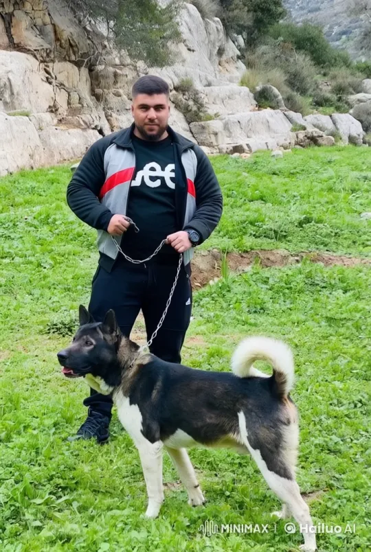 Dog Transforms into Lion in Peaceful Outdoor Scene – AI Generated Video | Hailuo AI