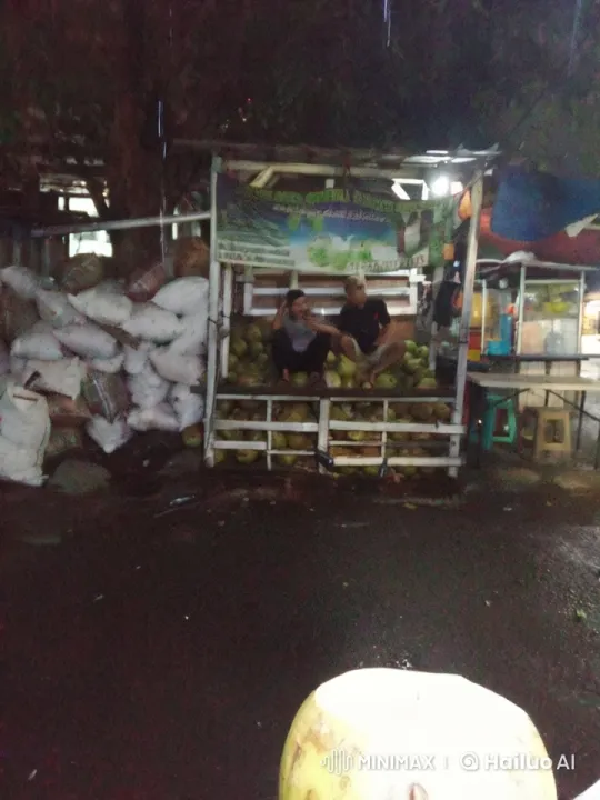 Night Market Scene: Two Individuals Chatting by Coconuts – AI Generated Video | Hailuo AI