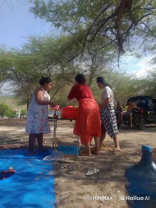Martial Arts Practice Session Under a Tree – AI Generated Video | Hailuo AI