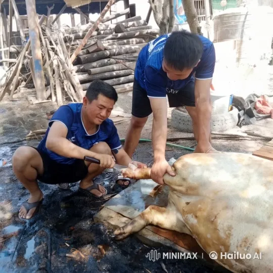 Rural Butchering Scene with Two Individuals – AI Generated Video | Hailuo AI