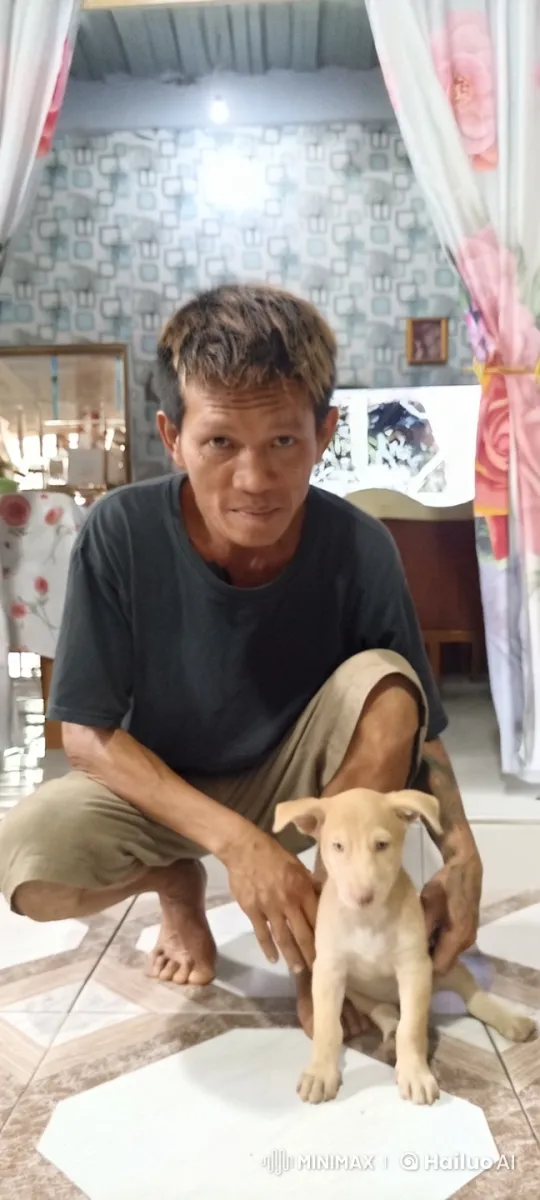 Puppy Performs Surprising Kungfu in Cozy Room – AI Generated Video | Hailuo AI