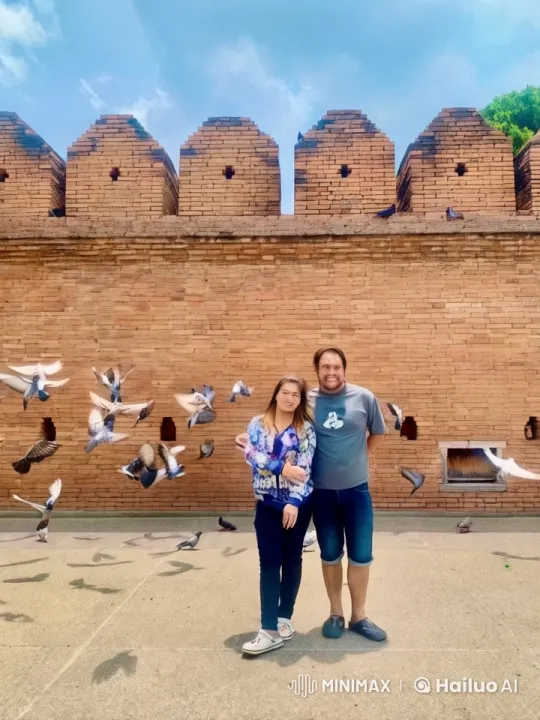 Ancient Wall Scene: Kung Fu Combat Amidst Pigeons – AI Generated Video | Hailuo AI