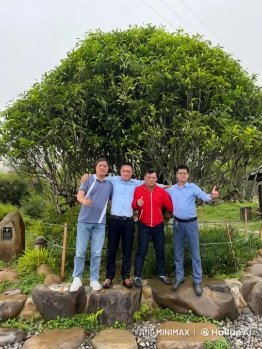 Four Men Engage in Intense Kungfu Battle in Lush Setting – AI Generated Video | Hailuo AI
