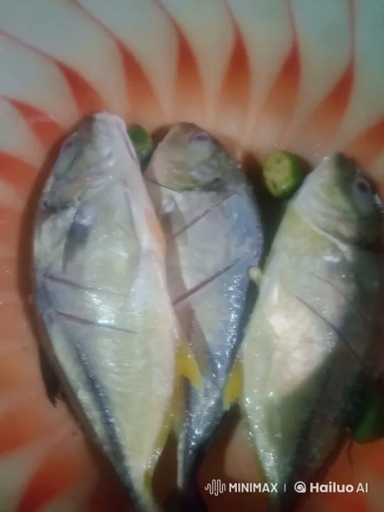 Animated Fish Perform Kung Fu in Bowl – AI Generated Video | Hailuo AI