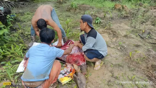 Men Practice Kungfu and Butchery in Outdoor Setting – AI Generated Video | Hailuo AI