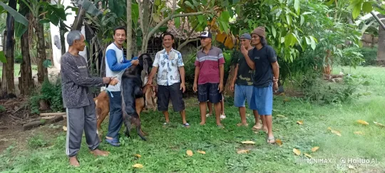 Martial Arts Demonstration in Lush Garden Setting – AI Generated Video | Hailuo AI
