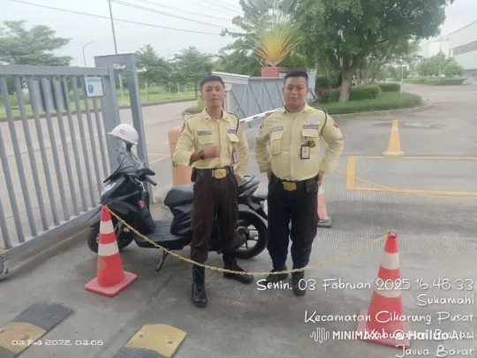 Security Guards Demonstrate Kung Fu and Muay Thai at Facility Entrance – AI Generated Video | Hailuo AI