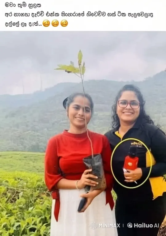 Kung Fu Fight in a Tea Plantation with Live2D Animation – AI Generated Video | Hailuo AI