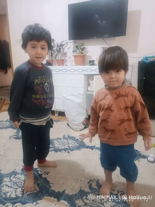 Children's Playful Kung Fu Fight in Living Room – AI Generated Video | Hailuo AI