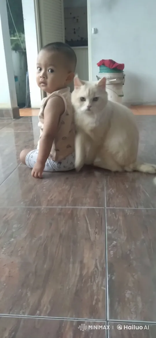 Child and Cat Engage in Animated Kungfu Battle – AI Generated Video | Hailuo AI