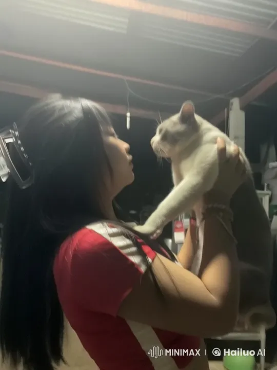 Woman Practices Kungfu with Cat in Live2D Animation – AI Generated Video | Hailuo AI