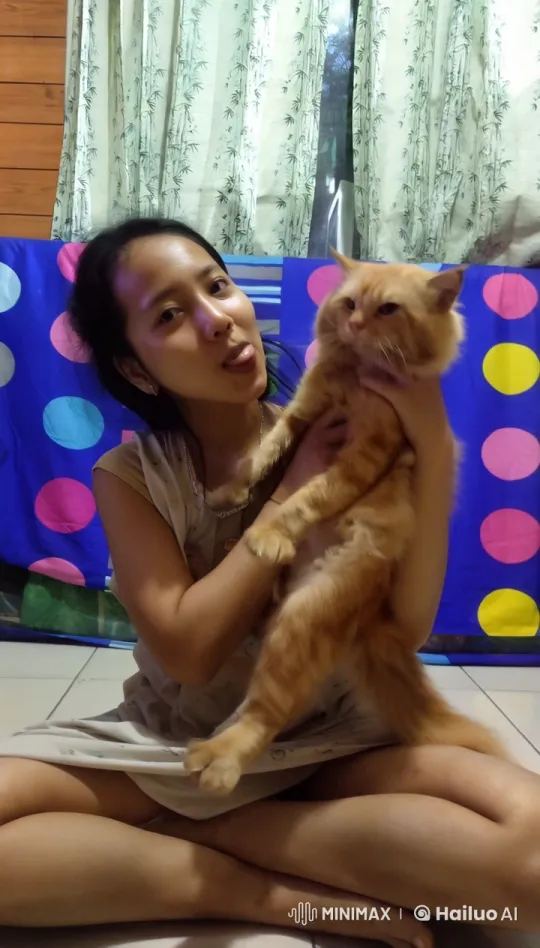 Cat Performs Kungfu-like Moves in Colorful Room – AI Generated Video | Hailuo AI