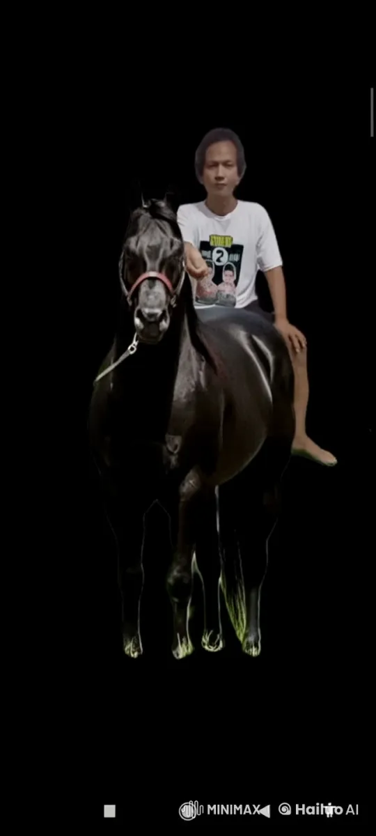 Cobalas on a Galloping Horse in Live2D Animation – AI Generated Video | Hailuo AI