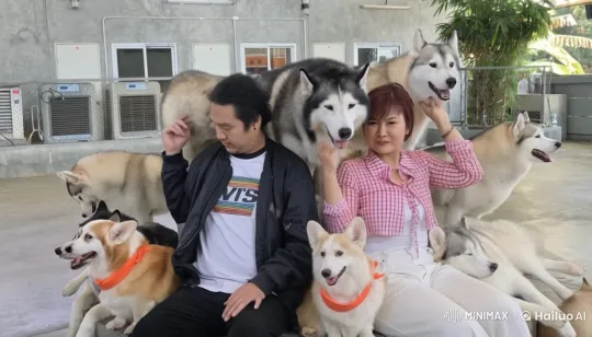 Live2D Animated Kung Fu Battle with Cheerful Dogs – AI Generated Video | Hailuo AI