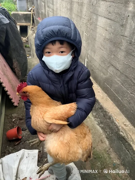 Child Practices Martial Arts with Chicken in Urban Alley – AI Generated Video | Hailuo AI