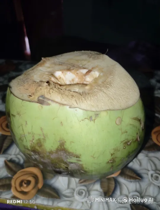 Boys Joyfully Bathe in Giant Coconut Water – AI Generated Video | Hailuo AI