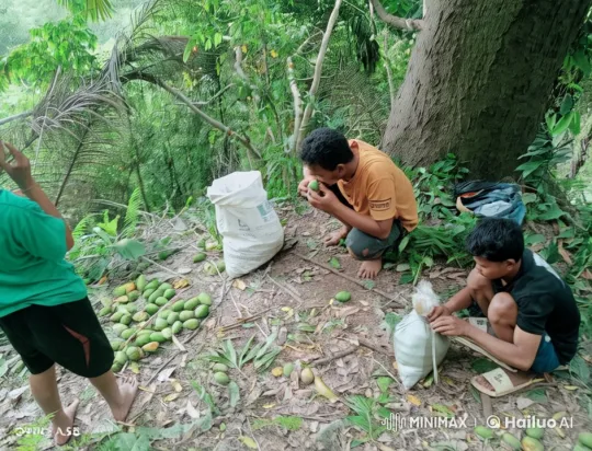 Animated Kung Fu Battle in a Lush Forest Setting – AI Generated Video | Hailuo AI