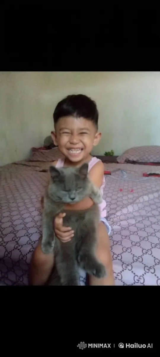 Child's Imaginative Cat Performs Kungfu – AI Generated Video | Hailuo AI
