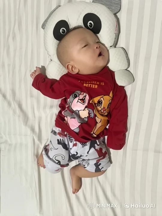 Baby Resting on Panda Pillow in Cozy Clothing – AI Generated Video | Hailuo AI
