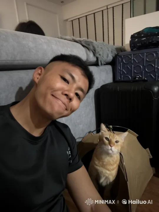 Affectionate Orange Cat in Cozy Room Setting – AI Generated Video | Hailuo AI